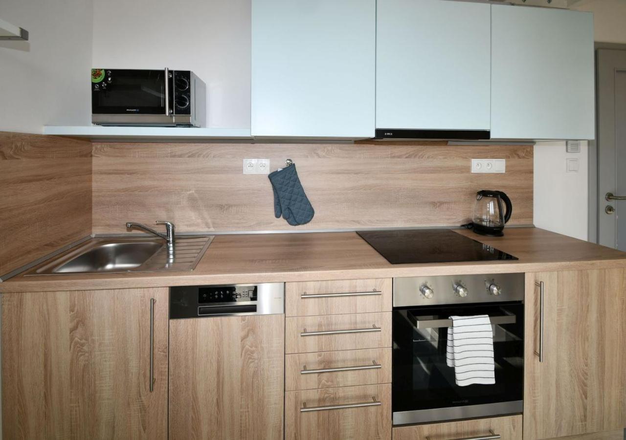 Efi Residence Holzova 28 Brno Esterno foto